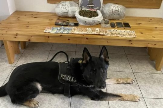 Θεσσαλονίκη: Ο Ακύλας «ξετρύπωσε» πάνω από ένα κιλό κοκαΐνης σε πορτ μπαγκάζ αυτοκινήτου [βίντεο]